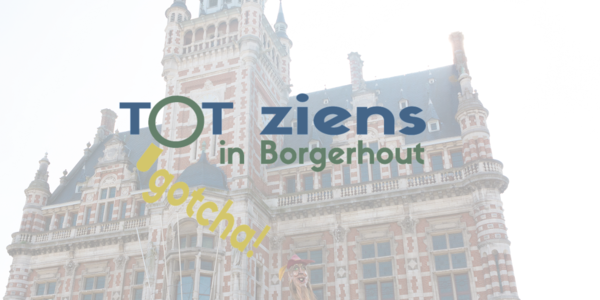 Website afbelding Tot ziens in Borgerhout